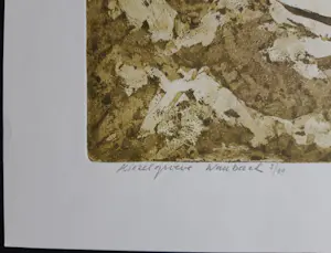 Antony van Lieshout - Kiezelgroeve Waubach kopen? Bied vanaf 70!