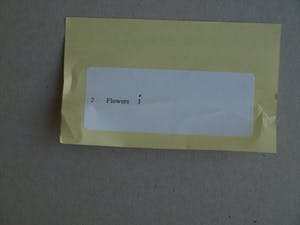 Paul Huf - Foto , Flowers , Bloemen – gesigneerd & ingelijst - 1984 kopen? Bied vanaf 75!