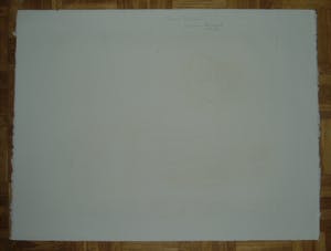 Jan Montyn - "Sierra Rosario" kopen? Bied vanaf 65!