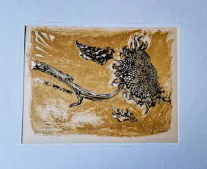 AcheterToon Wegner - Fraaie eigen druk kleuren-lithografie | 'Zonnebloem' | 1962 - inkt gesigneerd? Enchérissez de 29!