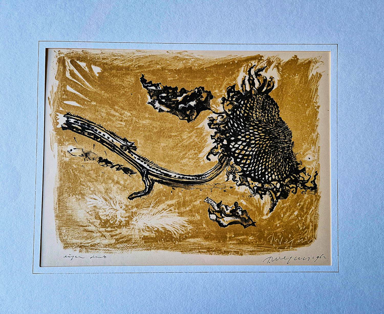 Toon Wegner - Fraaie eigen druk kleuren-lithografie | 'Zonnebloem' | 1962 - inkt gesigneerd kopen? Bied vanaf 29!