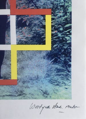 Woody van Amen - fraaie popart computerprint - 1990 kopen? Bied vanaf 45!