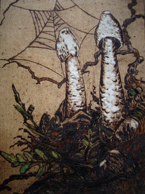 H.C. Spruit - Nederlands-Indisch Graficus - Fraaie Ets - Inktzwammen - omstreeks 1920 kopen? Bied vanaf 1!