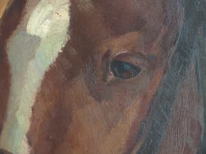 Niet of onleesbaar gesigneerd - Olieverf op doek , “Portret Paard” – gesigneerd & ingelijst kopen? Bied vanaf 10!