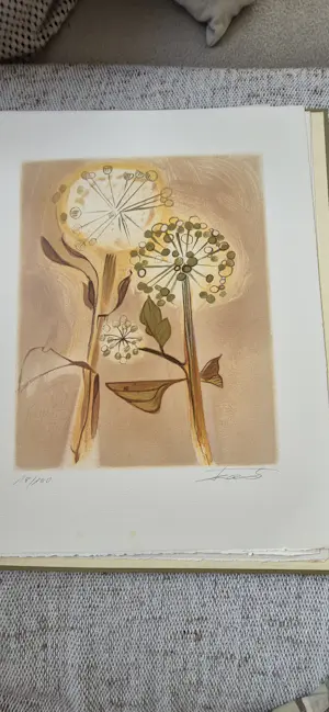 Dieter Framke - FLORA UND FAUNE kopen? Bied vanaf 700!