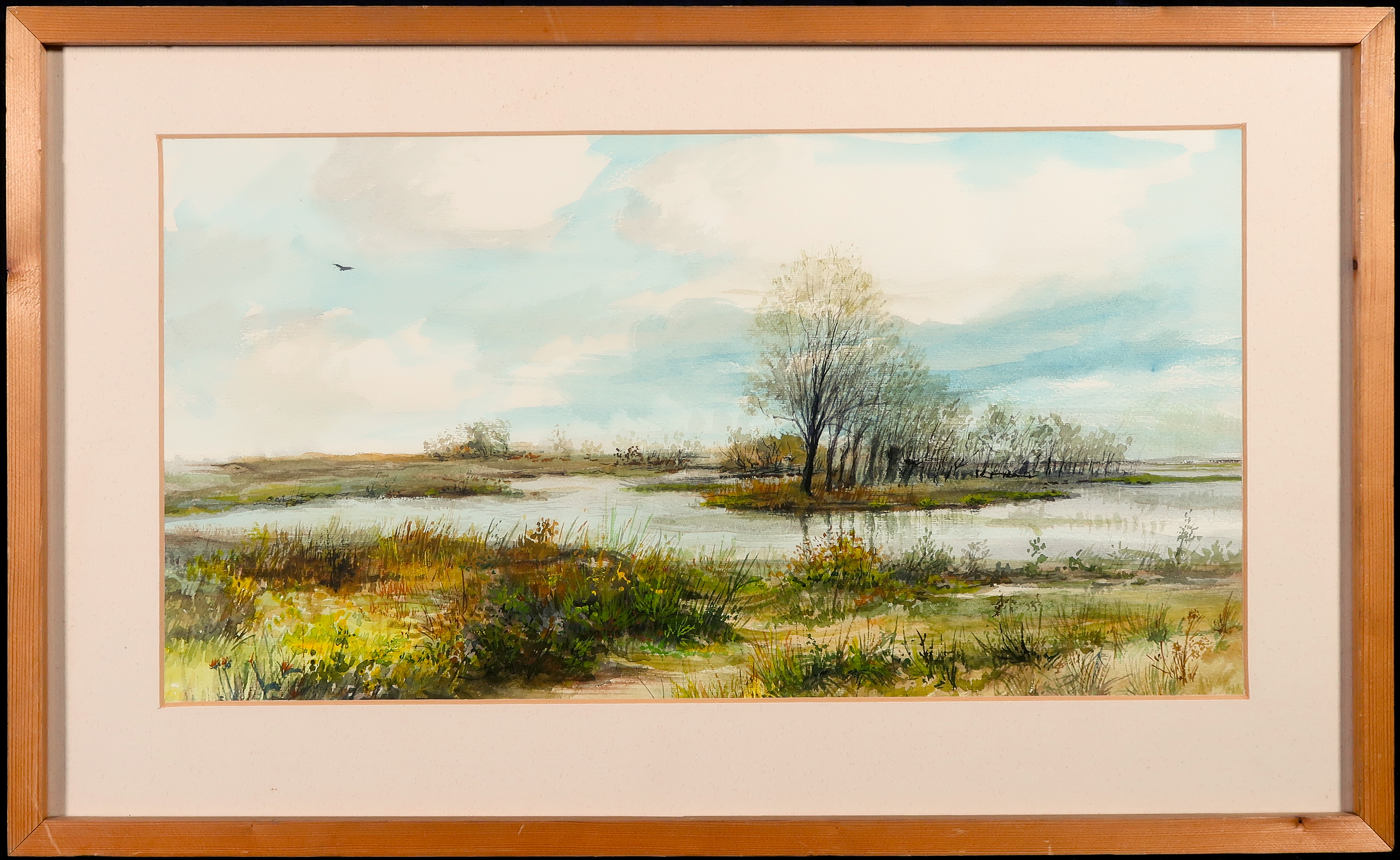 Niet of onleesbaar gesigneerd - Aquarel, Veenlandschap - Ingelijst kopen? Bied vanaf 1!