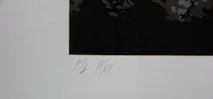 Jan Hendrix - Zeefdruk: bomen kopen? Bied vanaf 55!