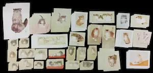 Mohaier Dariush - Lot van ca. 130 litho's!! voor de kattenliefhebbers! kopen? Bied vanaf 1!