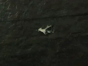 Piotr Konkel - Zeefdruk, Zonder titel kopen? Bied vanaf 1!