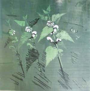 Niet of onleesbaar gesigneerd - Houtsnede "Dovenetel" verkocht voor € 35!