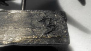 Bernadette Leijdekkers - Vogel als geluksbrenger kopen? Bied vanaf 34!