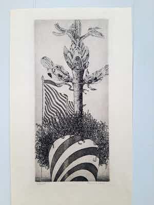 Gerard van Rooy - Onbekend verkocht voor € 35!