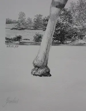 Peter Vos - Litho: gevoel kopen? Bied vanaf 150!