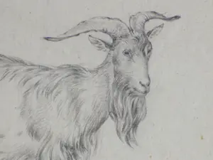 Frans Lebret - Twee tekeningen van een bok en een geit kopen? Bied vanaf 60!