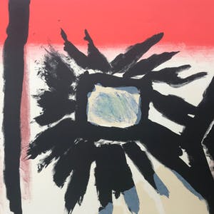 Jan Cox - Originele kleurenlitho - 1978 - 105/150 - Gesigneerd kopen? Bied vanaf 95!