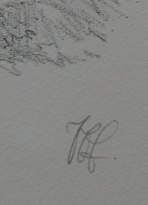 Peter Vos - Litho: De ontdekking van de giraffe kopen? Bied vanaf 150!