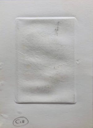 Hans van Draanen - De Vogelvanger kopen? Bied vanaf 35!