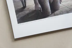 Ben Goossens - 'Fertility Rights' (2005) - GRATIS VERZENDING kopen? Bied vanaf 60!