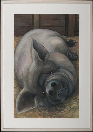 Niet of onleesbaar gesigneerd - Acryl op papier, Liggend varken - Ingelijst kopen? Bied vanaf 10!