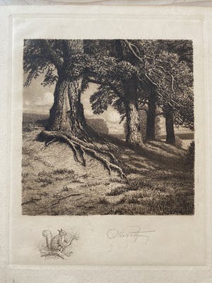 Buy Otto Protzen - Landschap / Waldstück? Bid from 20!