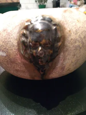 Sylvain Hublet - Gres pot met deksel. kopen? Bied vanaf 1!