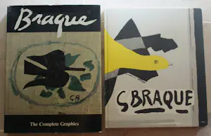 Georges Braque - the complete graphics 2 boeken kopen? Bied vanaf 10!