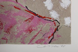 Henk van Vessem - 81/200 - 1997 - zeefdruk op papier kopen? Bied vanaf 20!