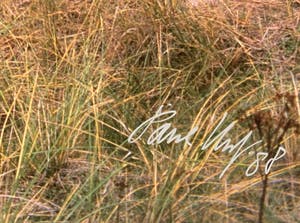 Paul Huf - C-print - 'Van Gogh's footsteps' - 1988 (INGELIJST) kopen? Bied vanaf 1!