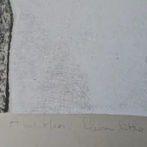 Anco van der Haar - "grafisch gezelschap De Luis" kleuren litho / eigen druk zeer kleine oplage (15) kaufen? Bieten Sie von 45!