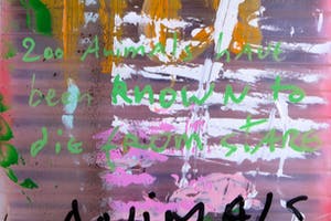 Fred Michiels - Zoo animals have been known to die from stares (3 flamingo's) kopen? Bied vanaf 150!