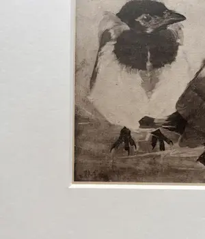 Jan Mankes - Originele Heliogravure 2 Jonge Eksters 1923 kopen? Bied vanaf 185!