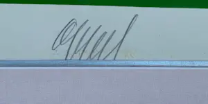 Karel Appel - Ingelijste zeefdruk: The green kiss kopen? Bied vanaf 1295!