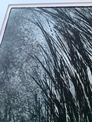 Margriet Westervaarder - Gras 5/30 kopen? Bied vanaf 50!