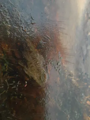 Joseph Antonio Hekking - Jagers in landschap. kopen? Bied vanaf 295!