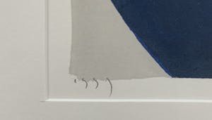 Piet Warffemius - kleurenzeefdruk - 1999 (INGELIJST) kopen? Bied vanaf 80!