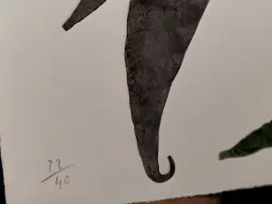 Reinhoud D'Haese - kleurenets, Titel: Rouw, CoBrA, oplage 40 stuks, ingelijst kopen? Bied vanaf 160!