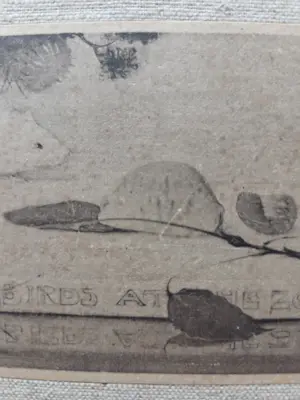 Jan Mankes - Muisje op boekje. kopen? Bied vanaf 79!