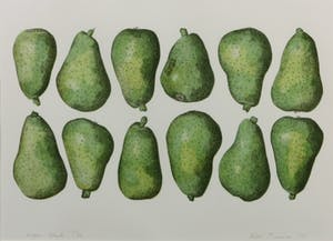 Kees Franse - Litho, Peren - Ingelijst kopen? Bied vanaf 35!