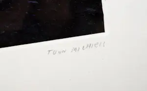 Toon Michiels - IJsland kopen? Bied vanaf 150!