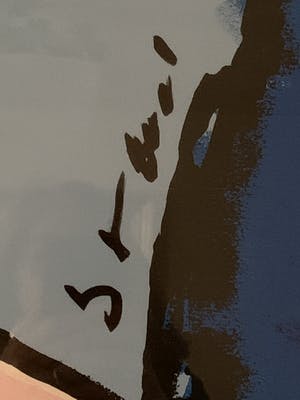 Herman Brood - Amazone kopen? Bied vanaf 1300!