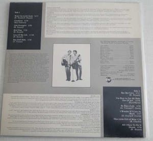 The Everly Brothers - Heartaches 'n' Harmonies - Picturedisc kopen? Bied vanaf 10!