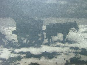 Frederika Broeksmit - SCHELPENVISSER kopen? Bied vanaf 30!