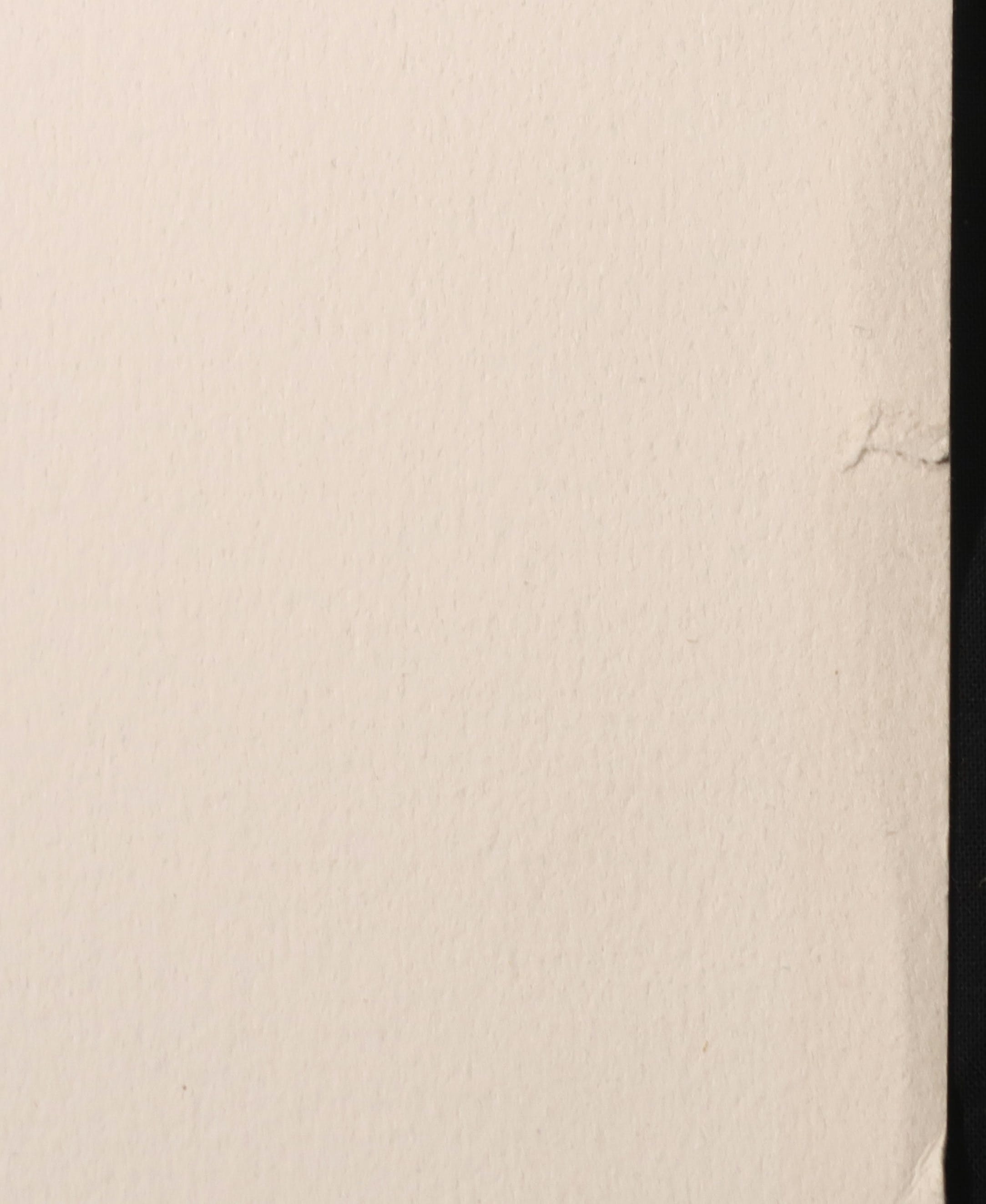 Armando - Litho, Der Kopf (Groot, 160cm!) kopen? Bied vanaf 200!