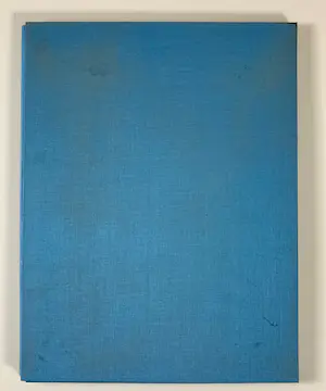 Vic Gentils - Dertig dagen robot zijn kopen? Bied vanaf 80!