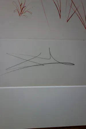 Salvador Dali - Espejo Vivo kopen? Bied vanaf 1650!