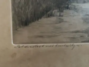 Nico van der Jagt - Poldersloot met knotwilgen kopen? Bied vanaf 50!