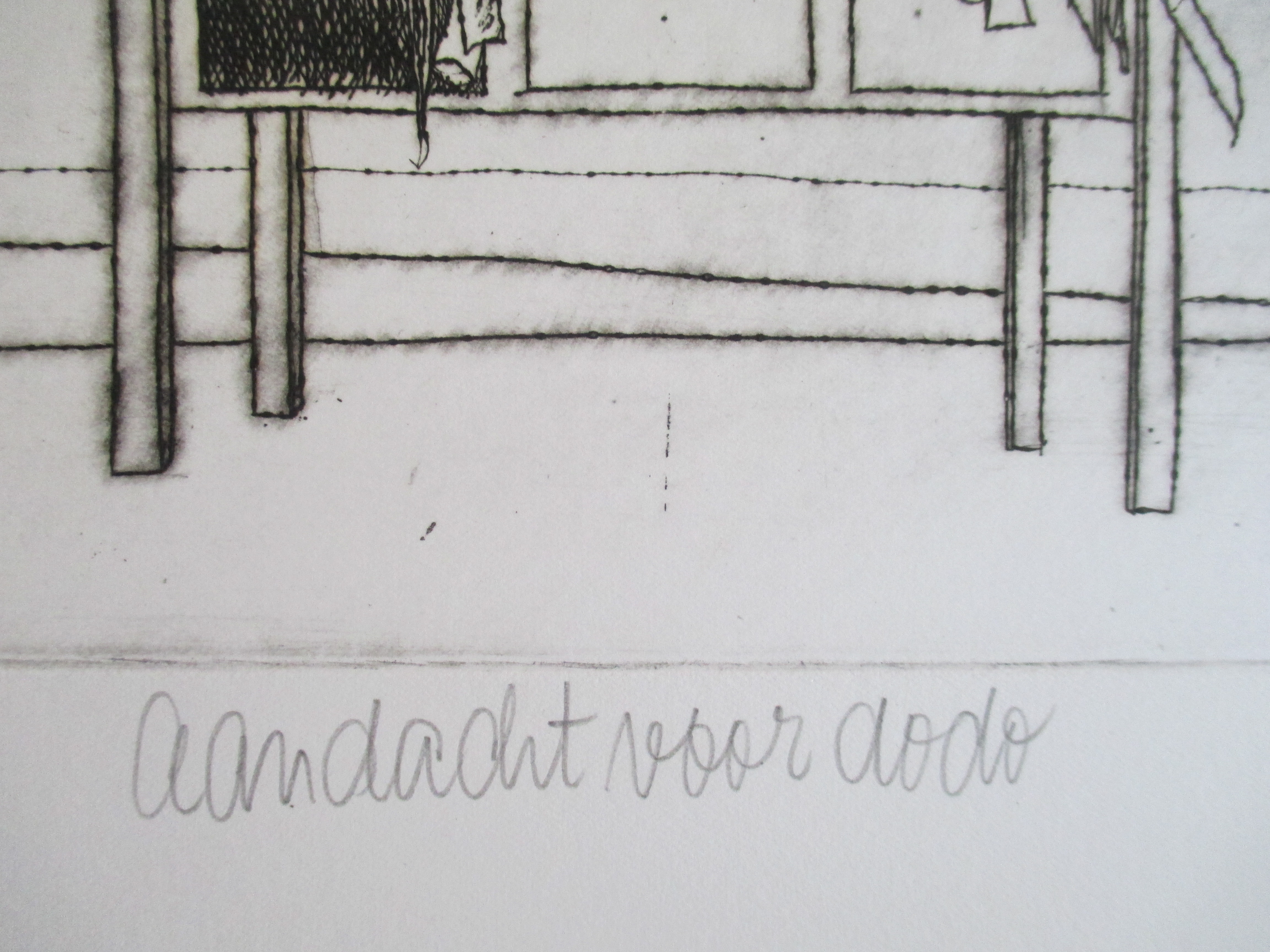 Gradus Verhaaf - Ets "Aandacht voor dodo" 1977 kopen? Bied vanaf 25!