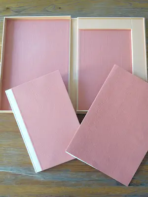 Ronald Tolman - KUNSTMATIGE ADEMHALING LATIJNSGENUMMERD met ORIGINELE ETS kopen? Bied vanaf 50!