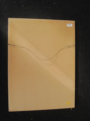 Flip van der Burgt - Mooie grote 1e druk Kleurhoutsnede "Vrouw met doek" gesigneerd kopen? Bied vanaf 10!