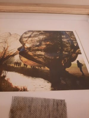 Christo - Wrapped Trees (inclusief origineel stukje stof) kopen? Bied vanaf 100!